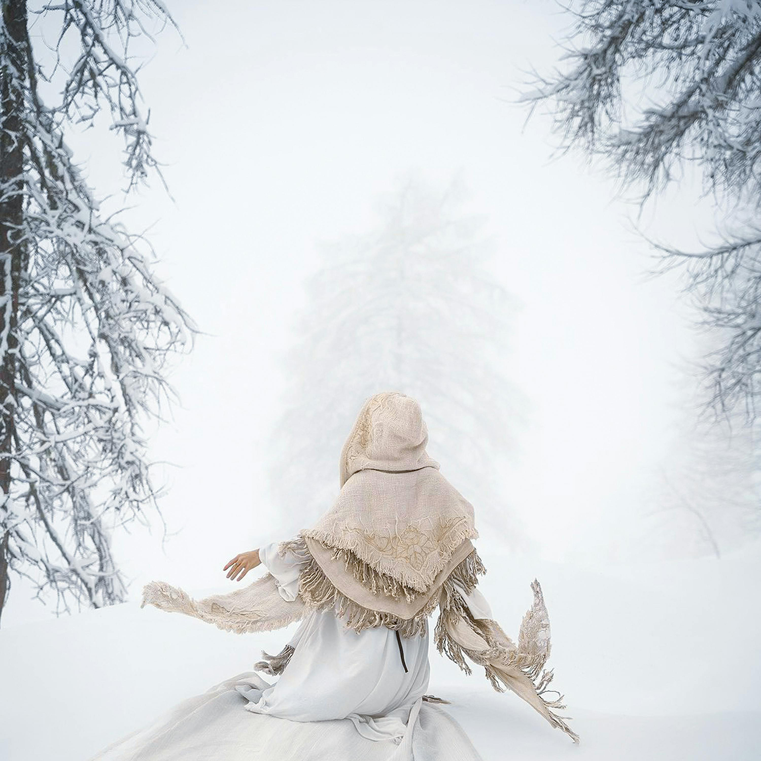 December 2025 Newsletter