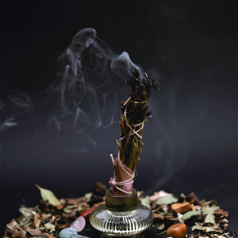 November 2025 Newsletter